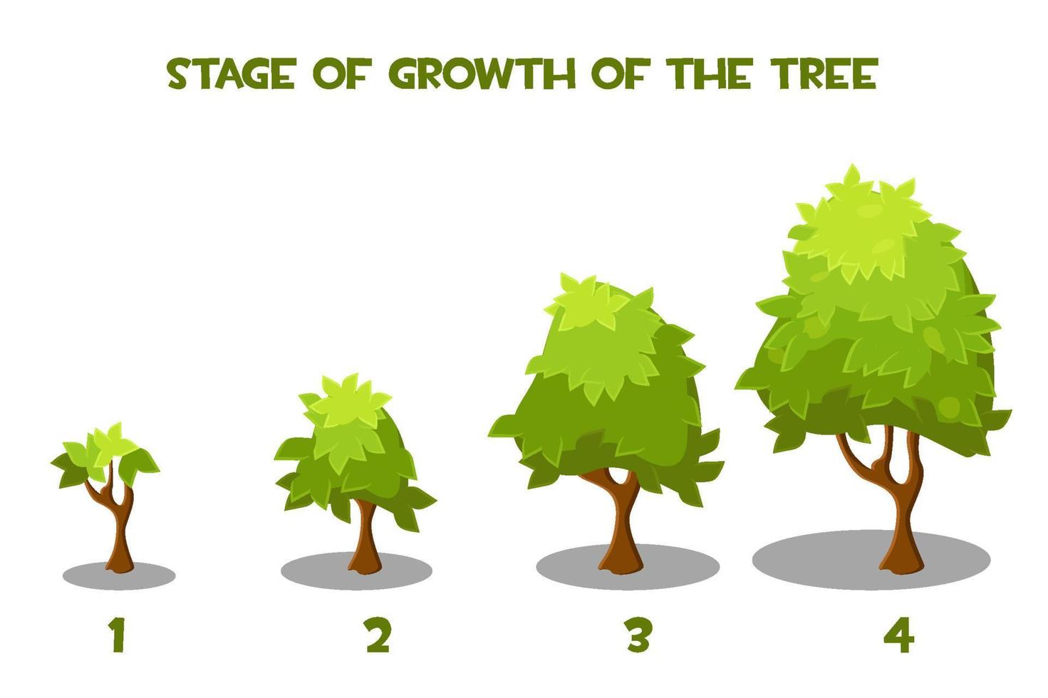 Vector illustration of cartoon tree growth stages. Isolated green trees in growth progress.