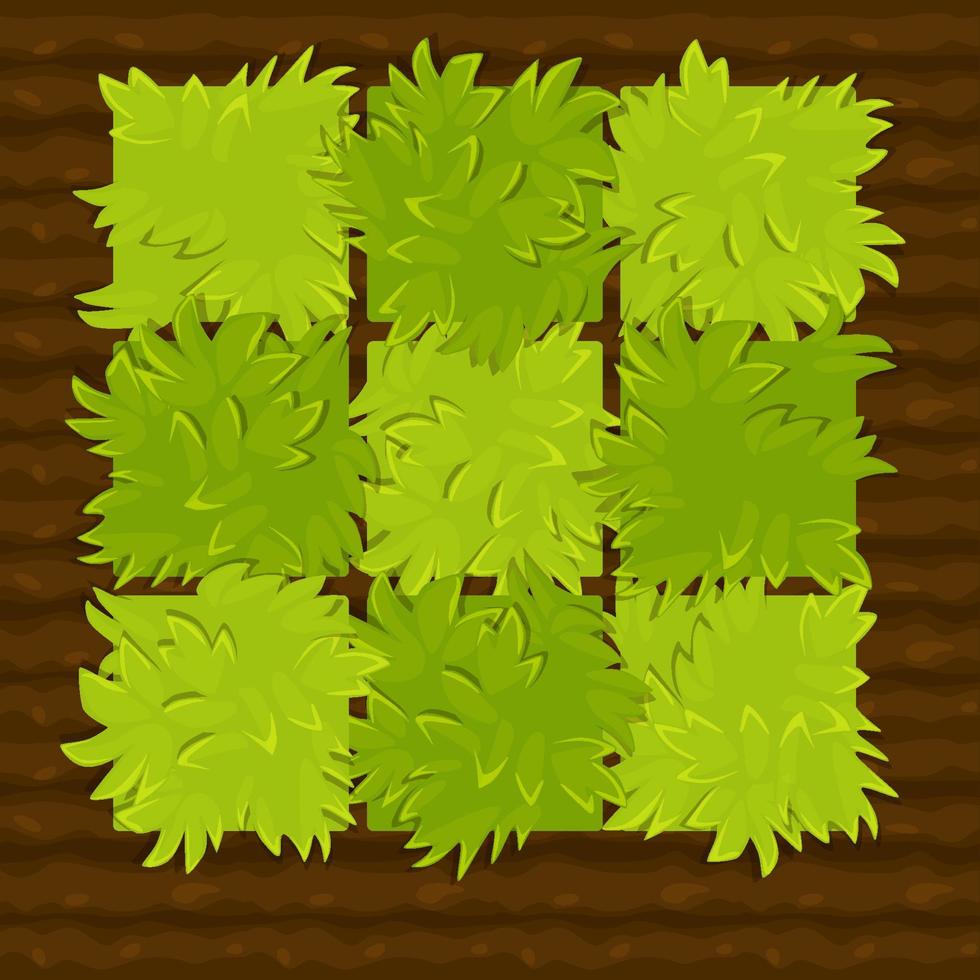 Vector illustration of a garden bed or vegetable garden for the game. Green bushes of seedlings on the ground.