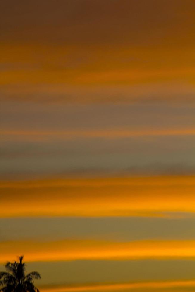 The sky is a horizontal line of yellow-orange and colorful colors in the beautiful evening in the midst of nature which is peaceful, warm and romantic in the countryside and is extremely beautiful. photo