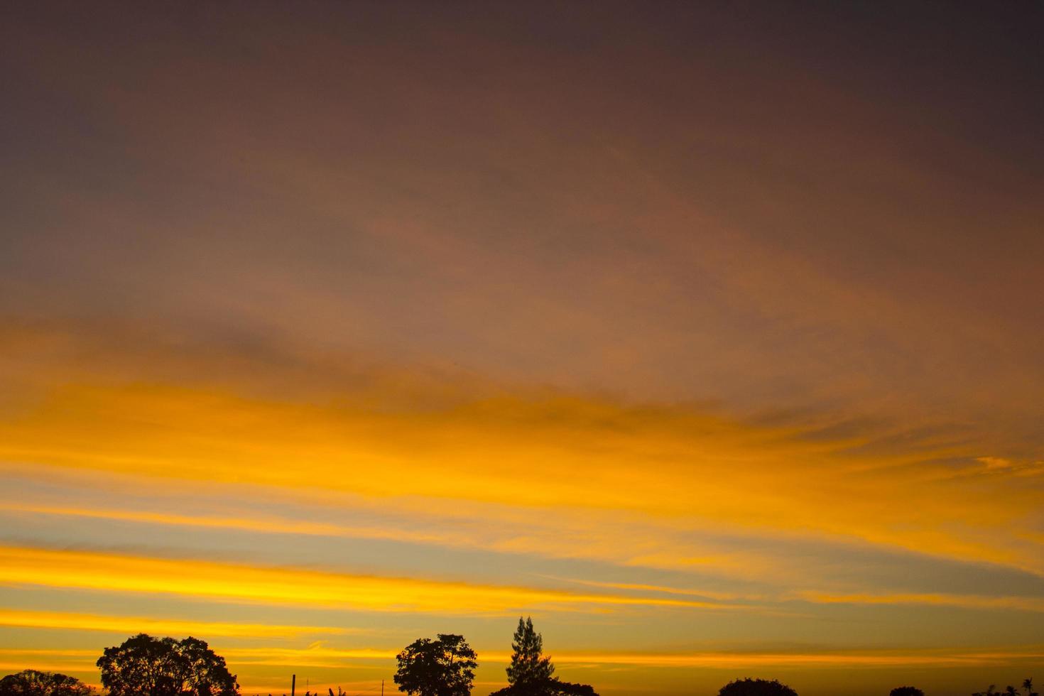 The sky is a horizontal line of yellow-orange and colorful colors in the beautiful evening in the midst of nature which is peaceful, warm and romantic in the countryside and is extremely beautiful. photo