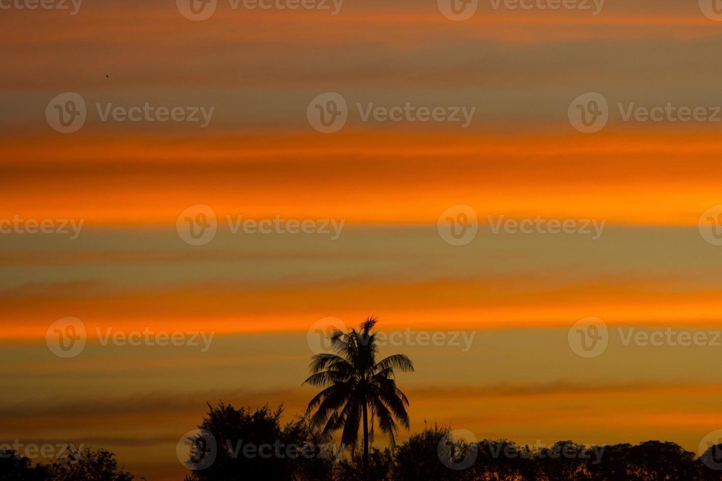 The sky is a horizontal line of yellow-orange and colorful colors in the beautiful evening in the midst of nature which is peaceful, warm and romantic in the countryside and is extremely beautiful. photo