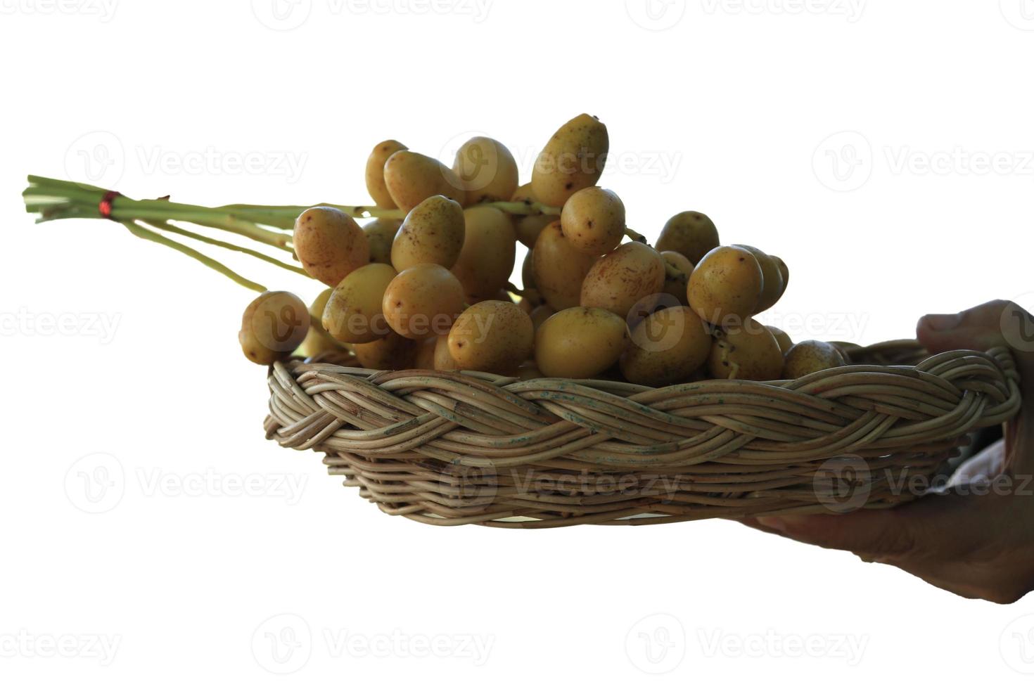 Ripe yellow dates are planted organically, sweet and delicious and fresh in a woven basket on a white background with the hands of a woman holding them-on a white background. photo