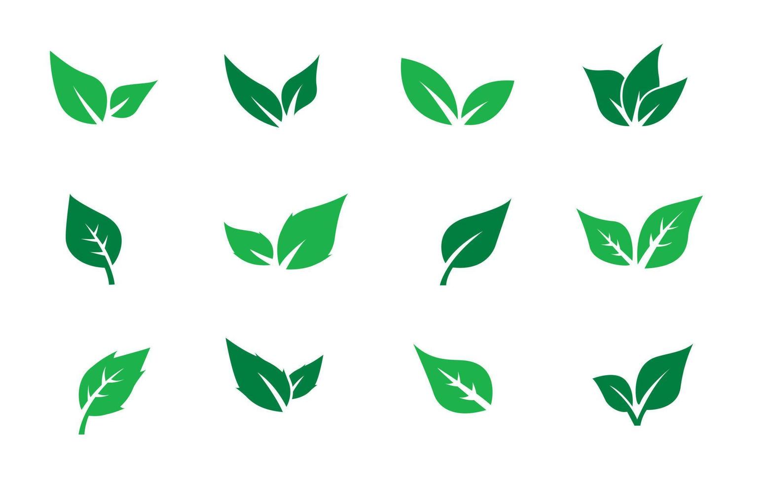 Set of green leaves icons isolated on white background vector