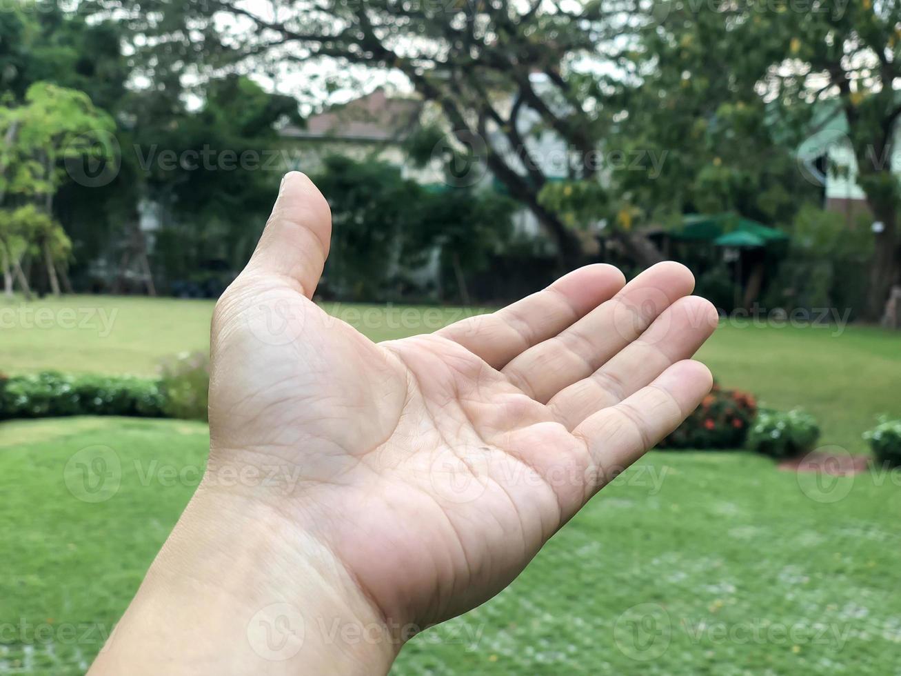 abre la palma de la mano frente al jardín foto