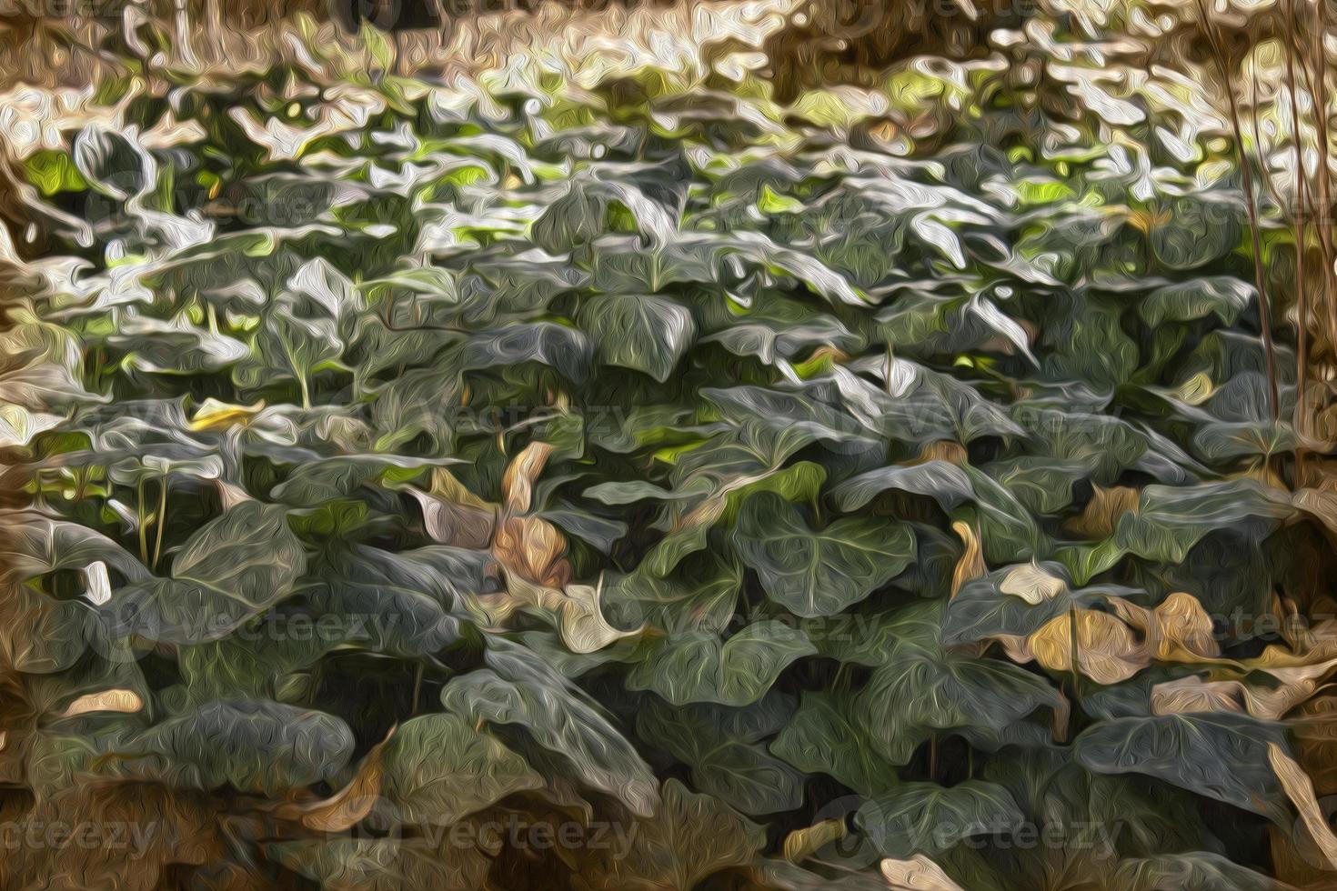 Forest in the time photo