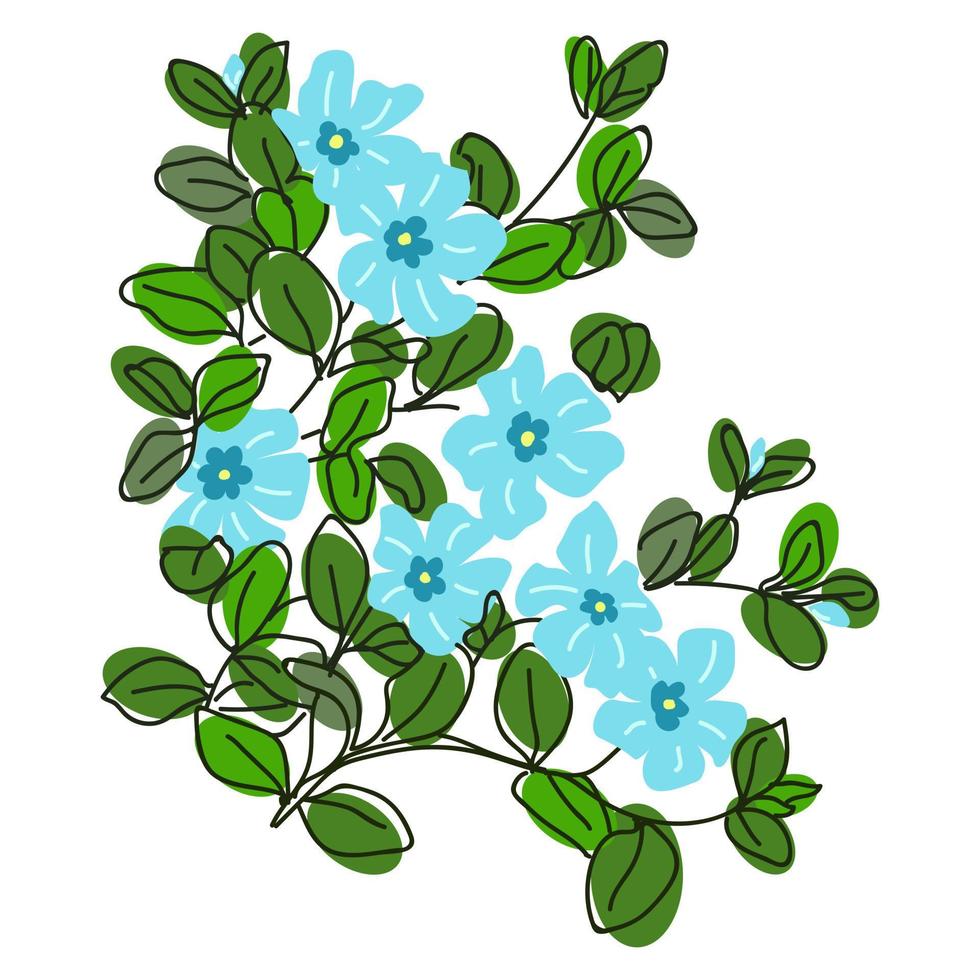 Periwinkle flowers with leaves. Vector illustration.