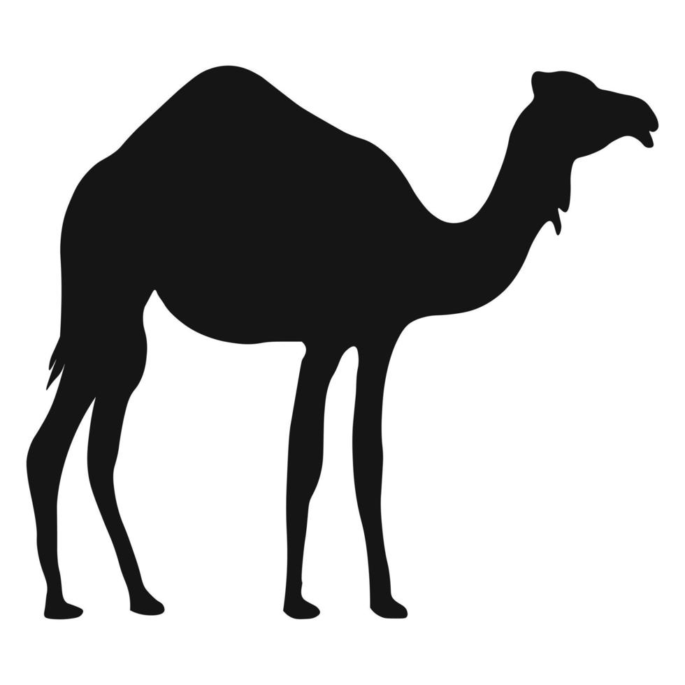 Camel silhouette. Vector illustration.