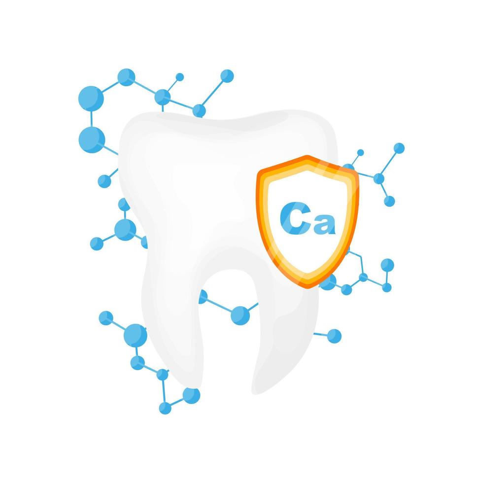 Human tooth with a calcium protection shield and cell structure background. Strong, healthy and protected teeth vector illustration concept on white background.