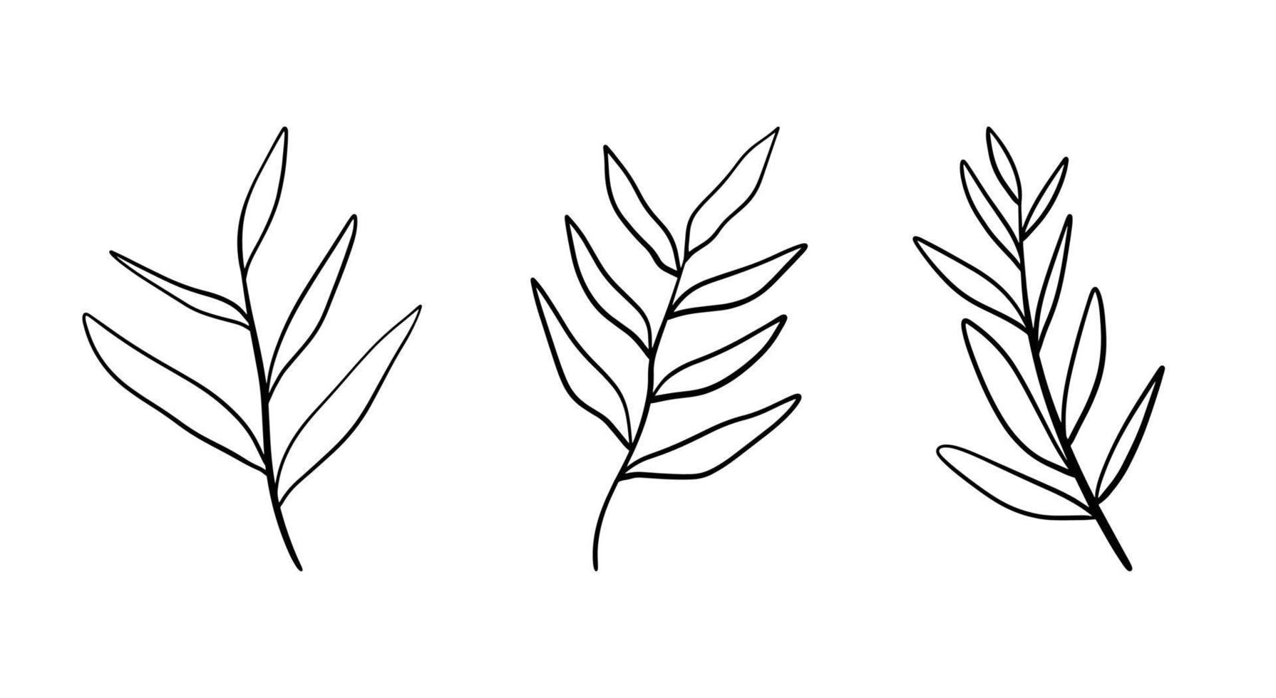 Set of floral hand drawn vector. Hand drawn plants in doodle style. Botanical illustration. vector