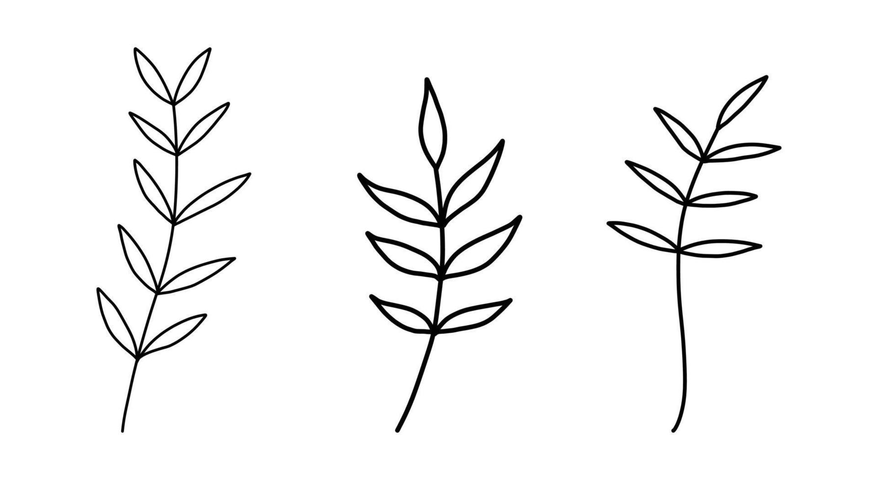 Set of floral hand drawn vector. Hand drawn plants in doodle style. Botanical illustration. vector