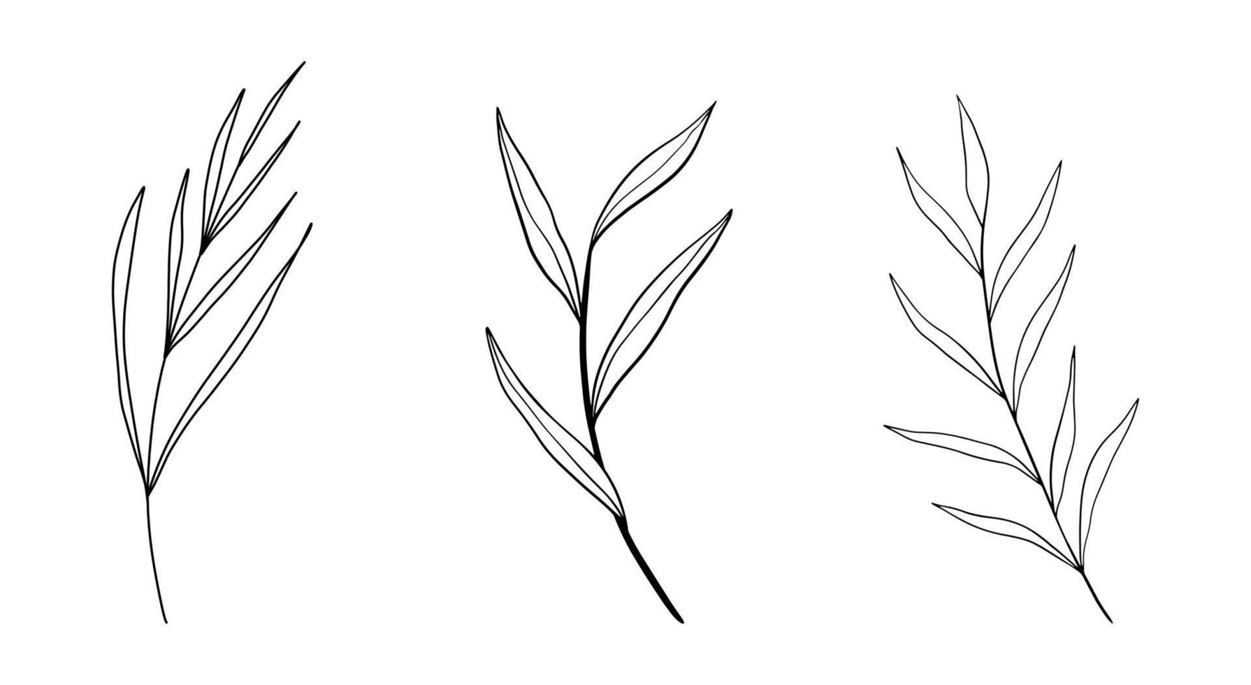 Set of floral hand drawn vector. Hand drawn plants in doodle style. Botanical illustration. vector