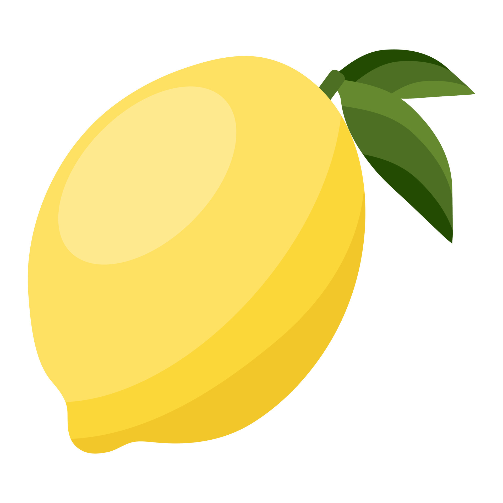 Lemon. Vector illustration. 7987461 Vector Art at Vecteezy