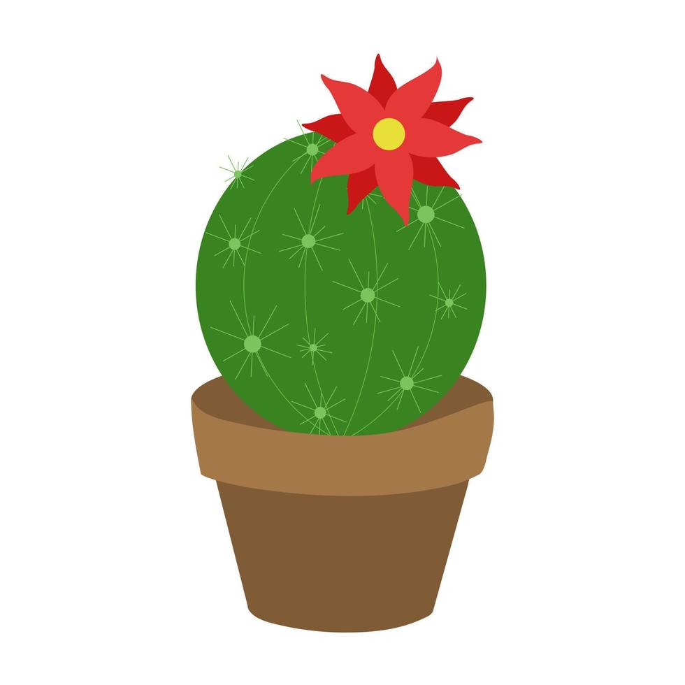 Cactus. Vector illustration.
