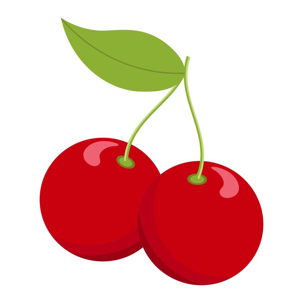 Cherry icon. Cherry isolated on white background. Vector illustration.