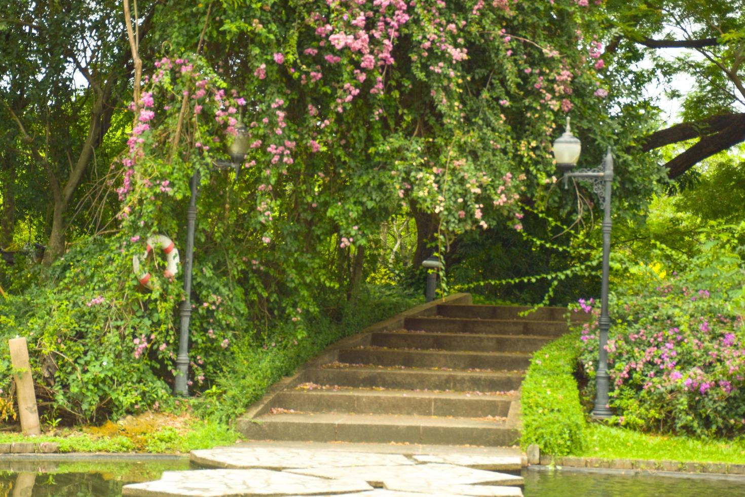 escalera al parque chatuchak, bangkok, tailandia foto