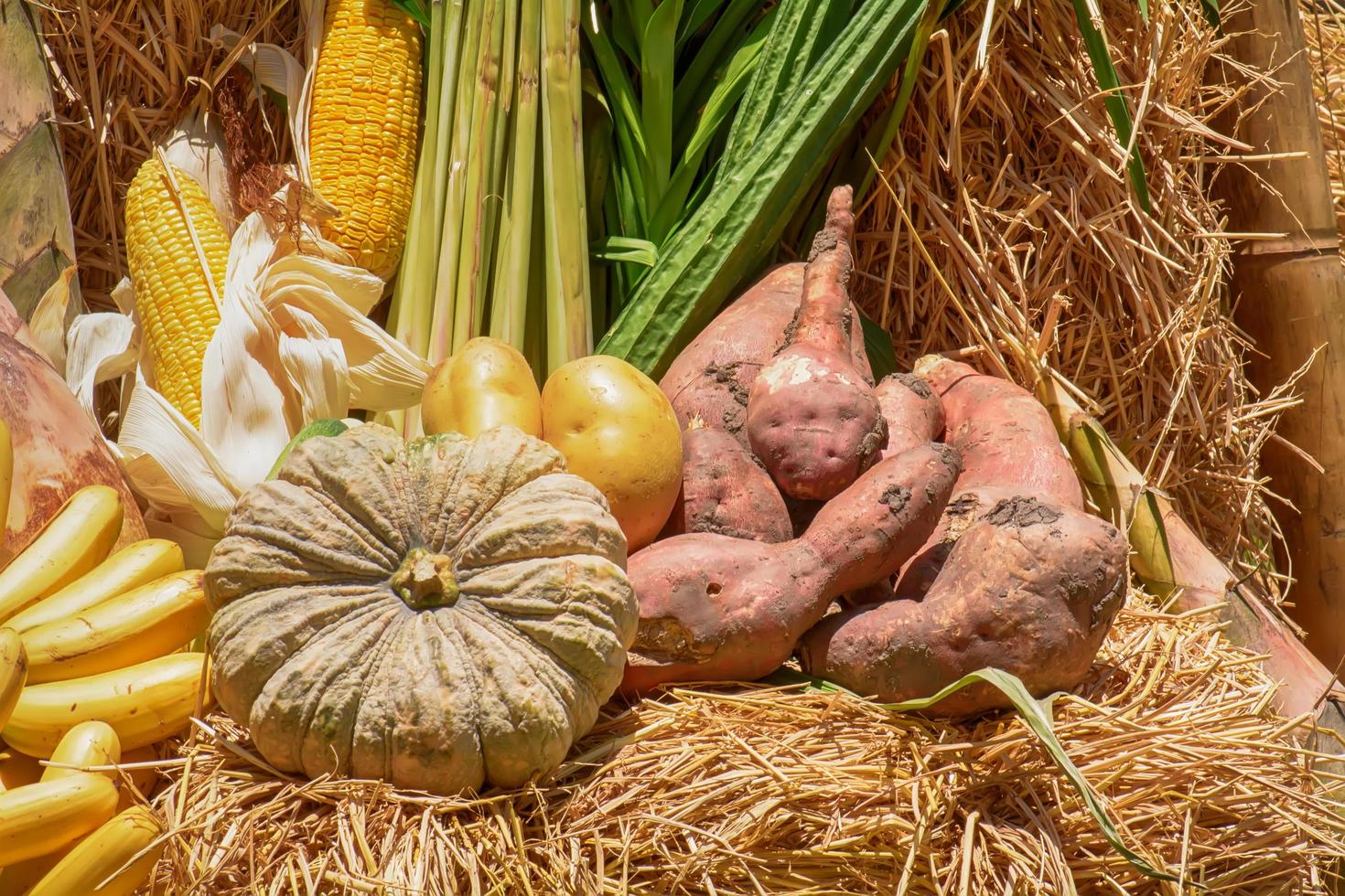 Many fruits and vegetables photo