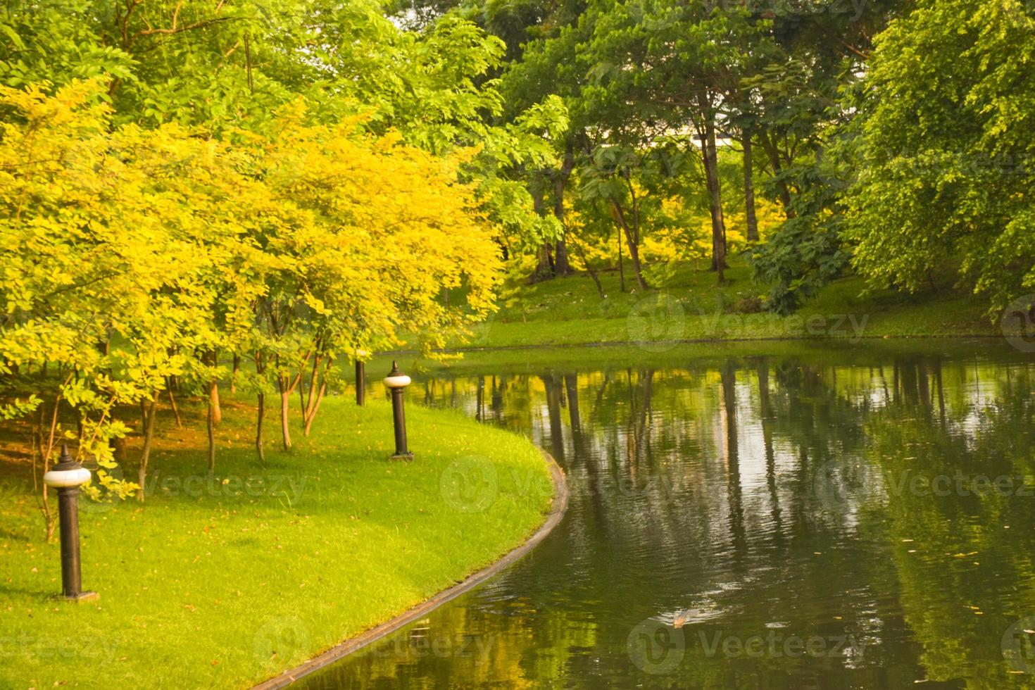 Scenery of brightly colored trees by the lake and flowers in full bloom in a Thai public park photo