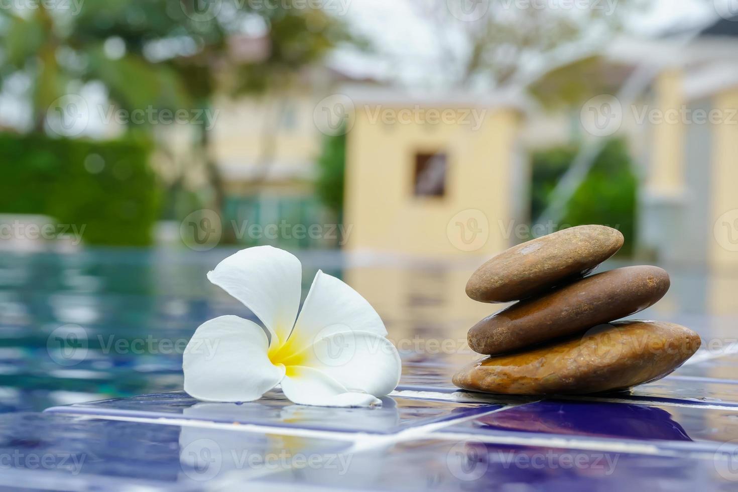 Plumeria flowers on a tile floor lay beside the pool. photo