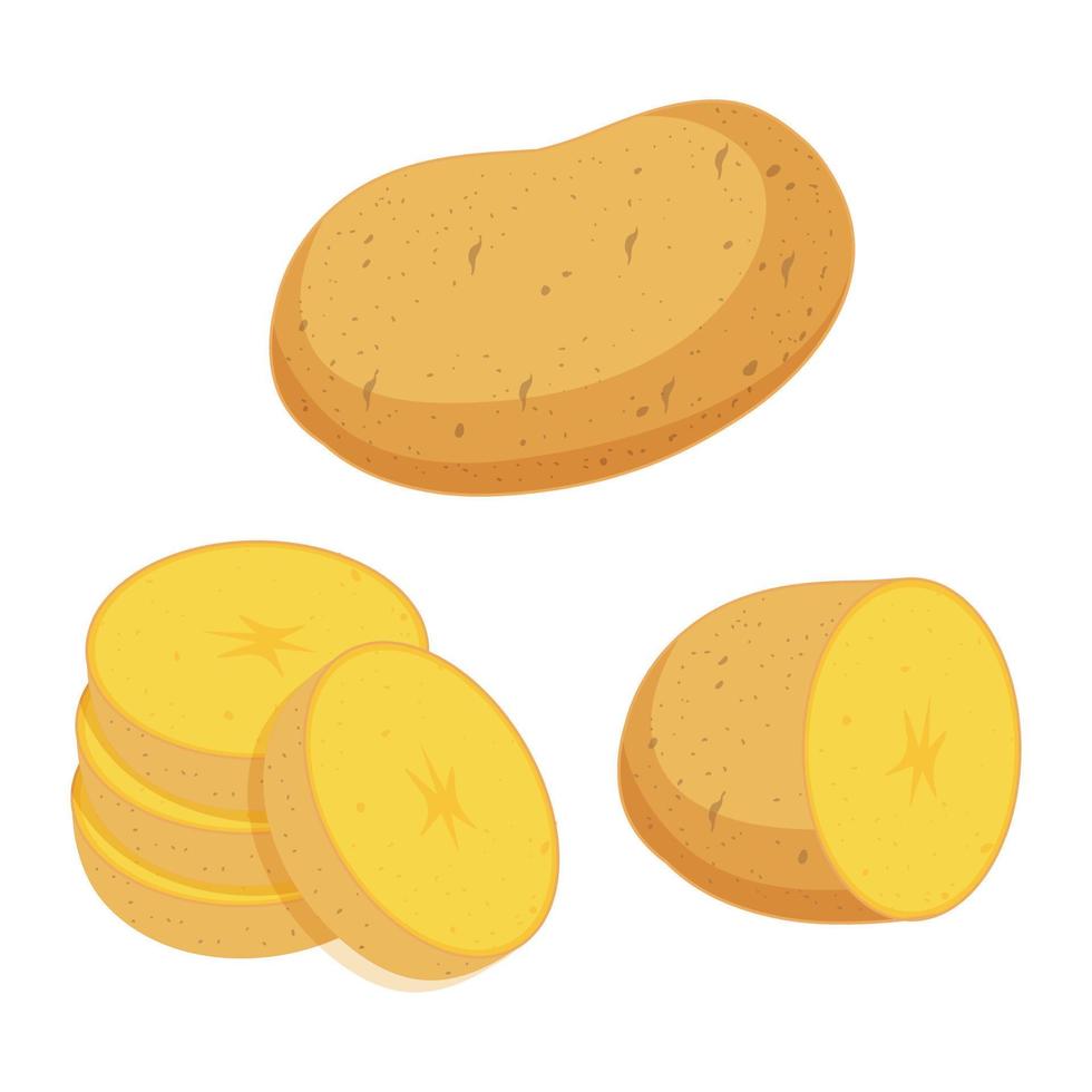 conjunto de patatas. patatas enteras en rodajas. vector