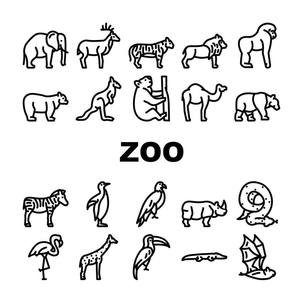 animales del zoológico, pájaros y serpientes iconos conjunto vector