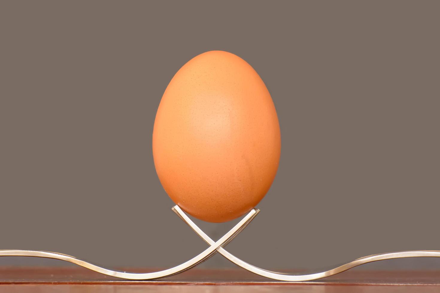 Egg on a fork photo