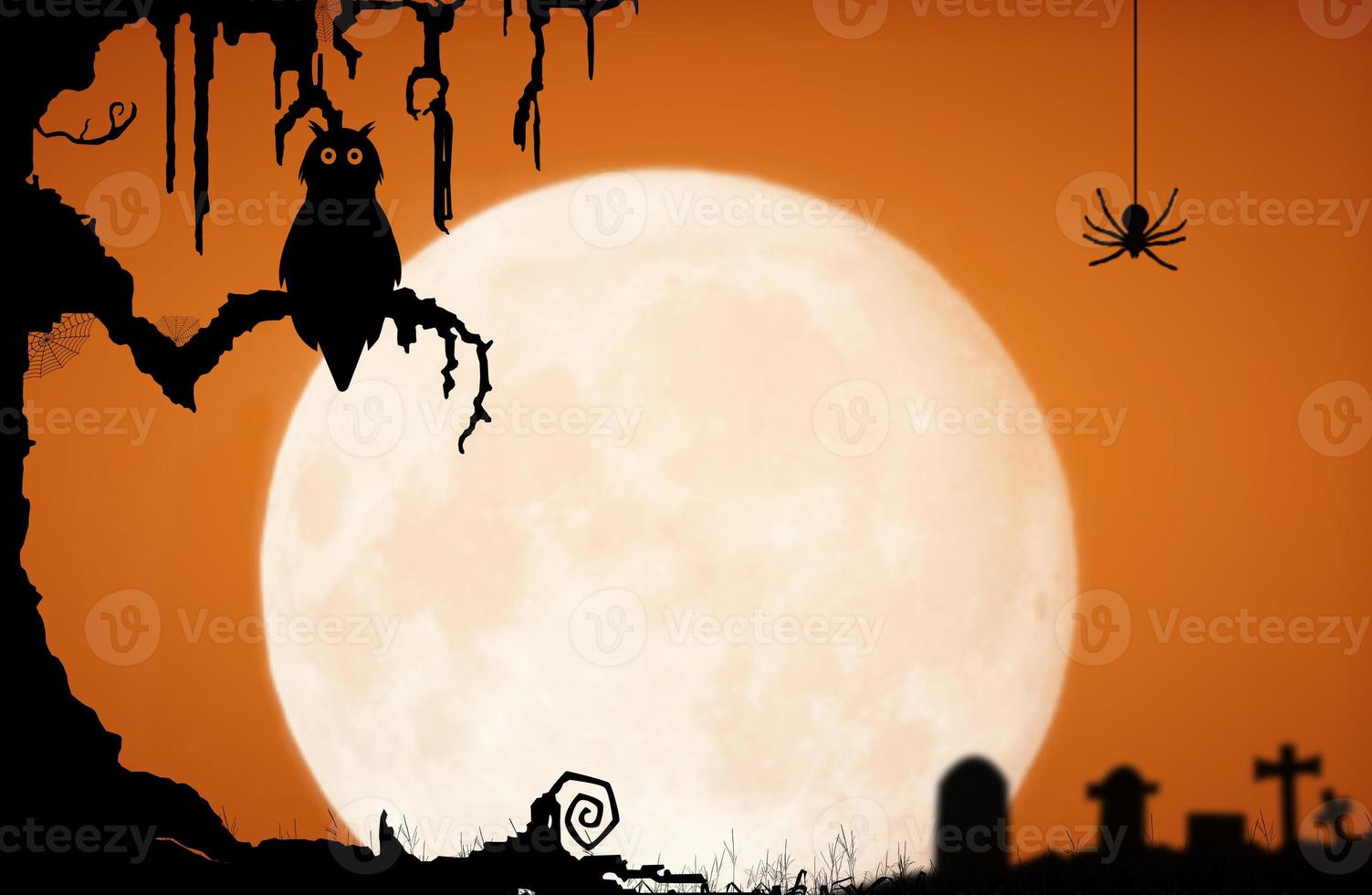 Halloween night background with moon, owl, spider, gravestone and old tree. photo