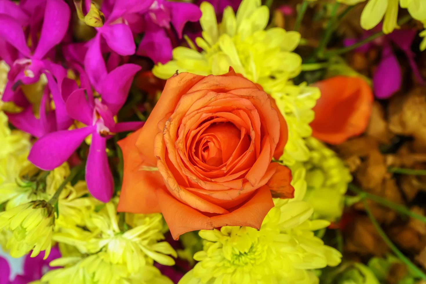 Roses on Valentine's Day photo
