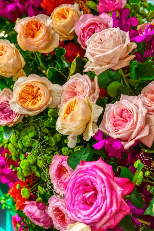 Roses on Valentine's Day photo