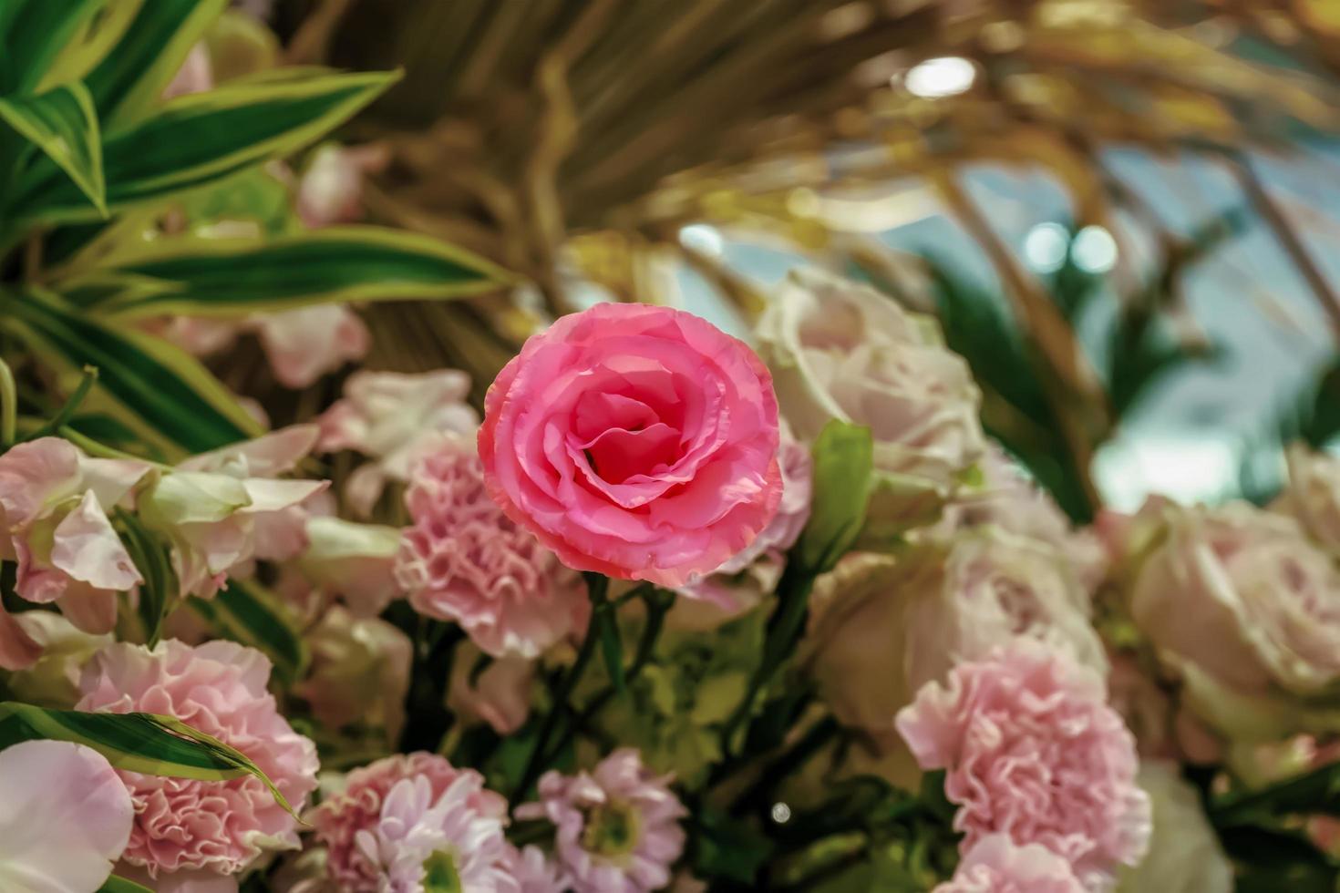 Roses on Valentine's Day photo