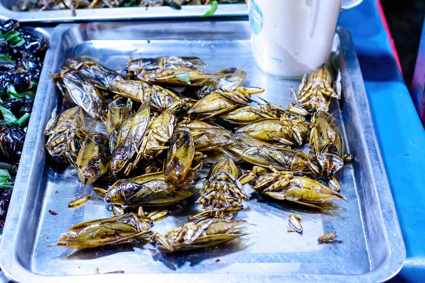 Insects and worms is fried food photo