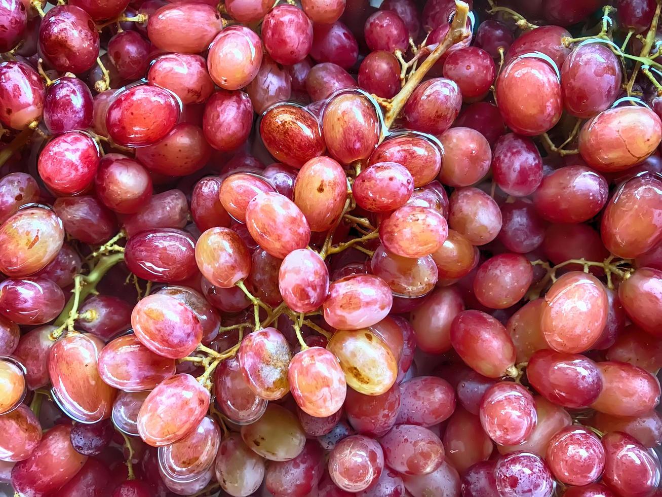 Close up grapes photo