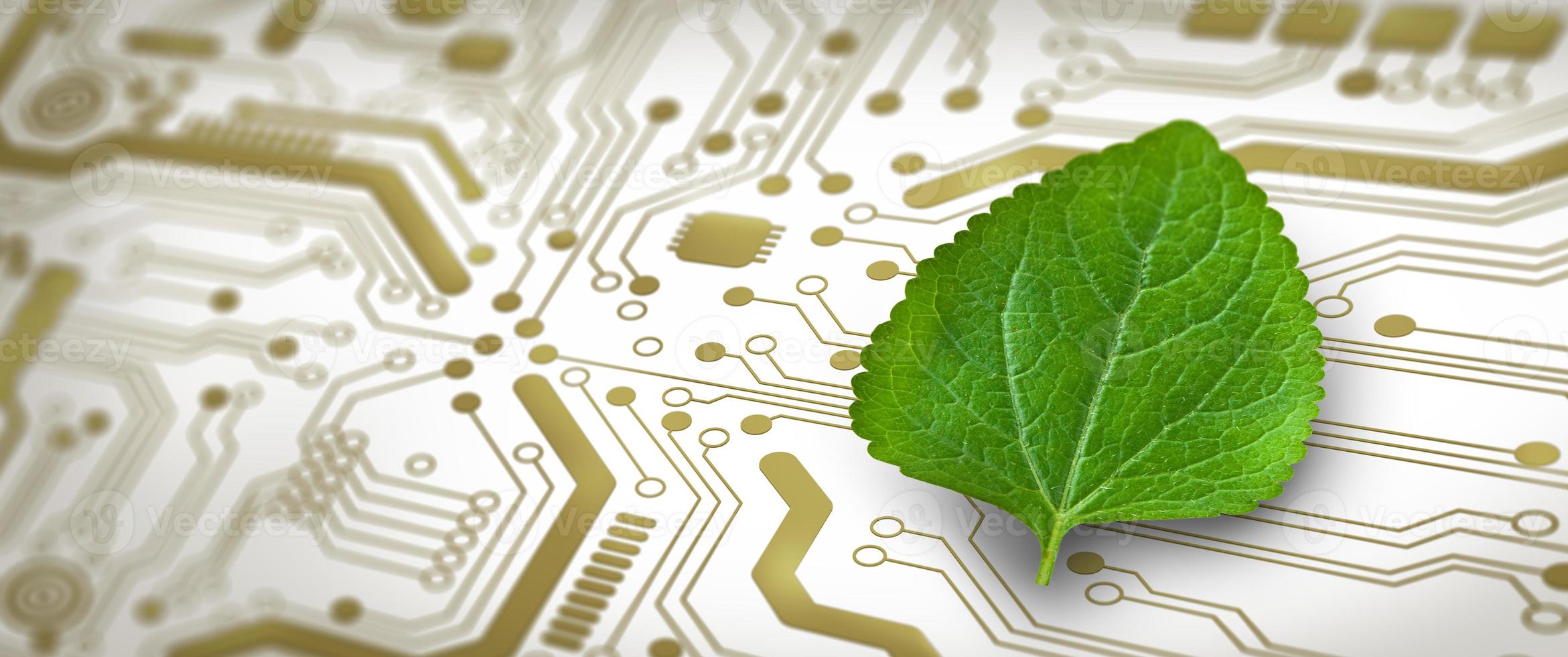 Green Computing, Green Technology, Green IT, csr, and IT ethics Concept. photo