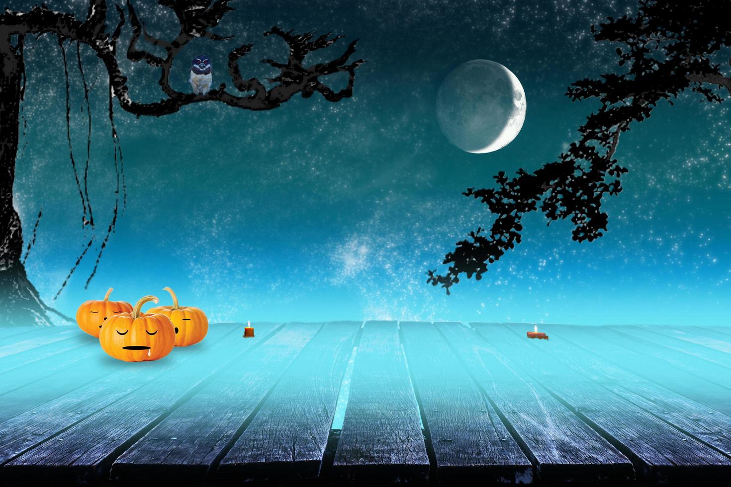 Halloween Concept in Fantasy Night photo