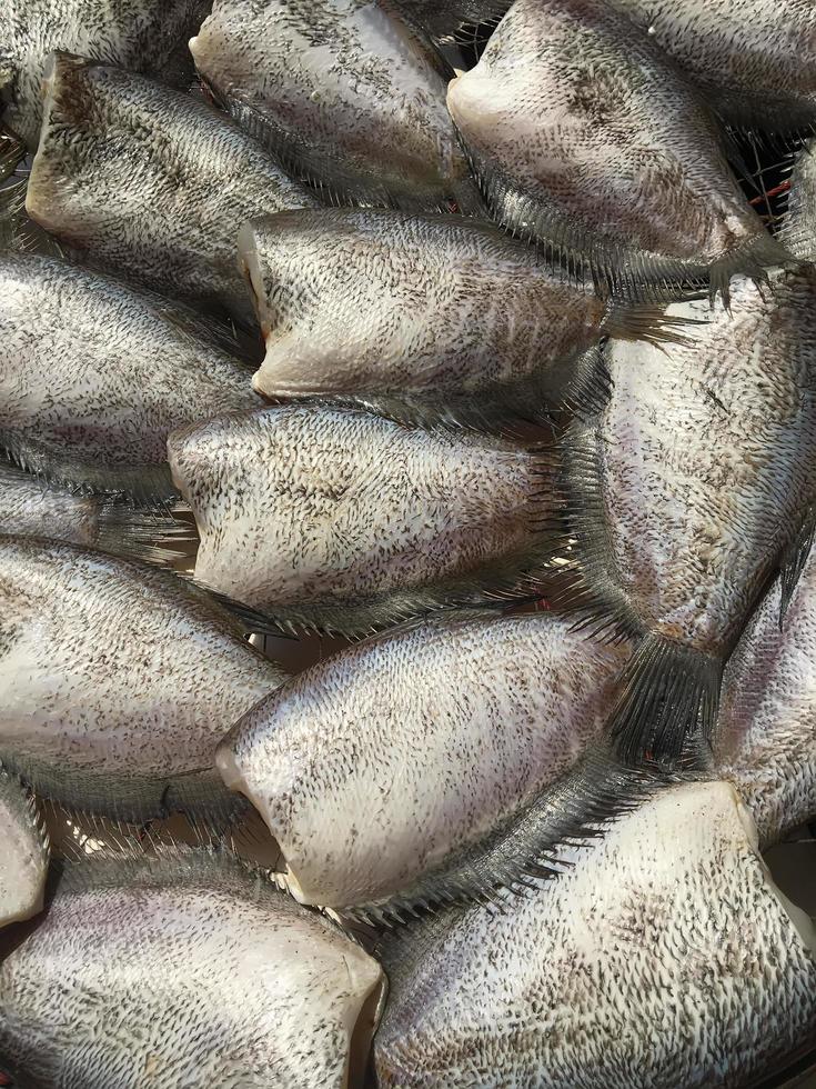 The trichogaster pectoralis fish drying in the sun for sale. photo