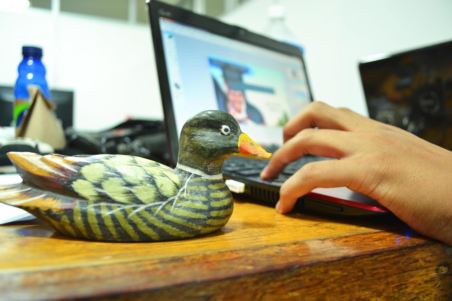 Ducks on the Work Table photo