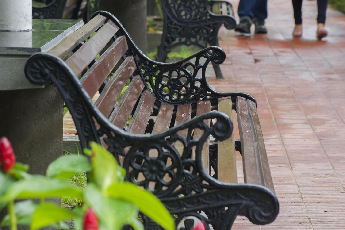 Beautiful Empty Bench On Footpath At Park.Old chairs on the alley. photo