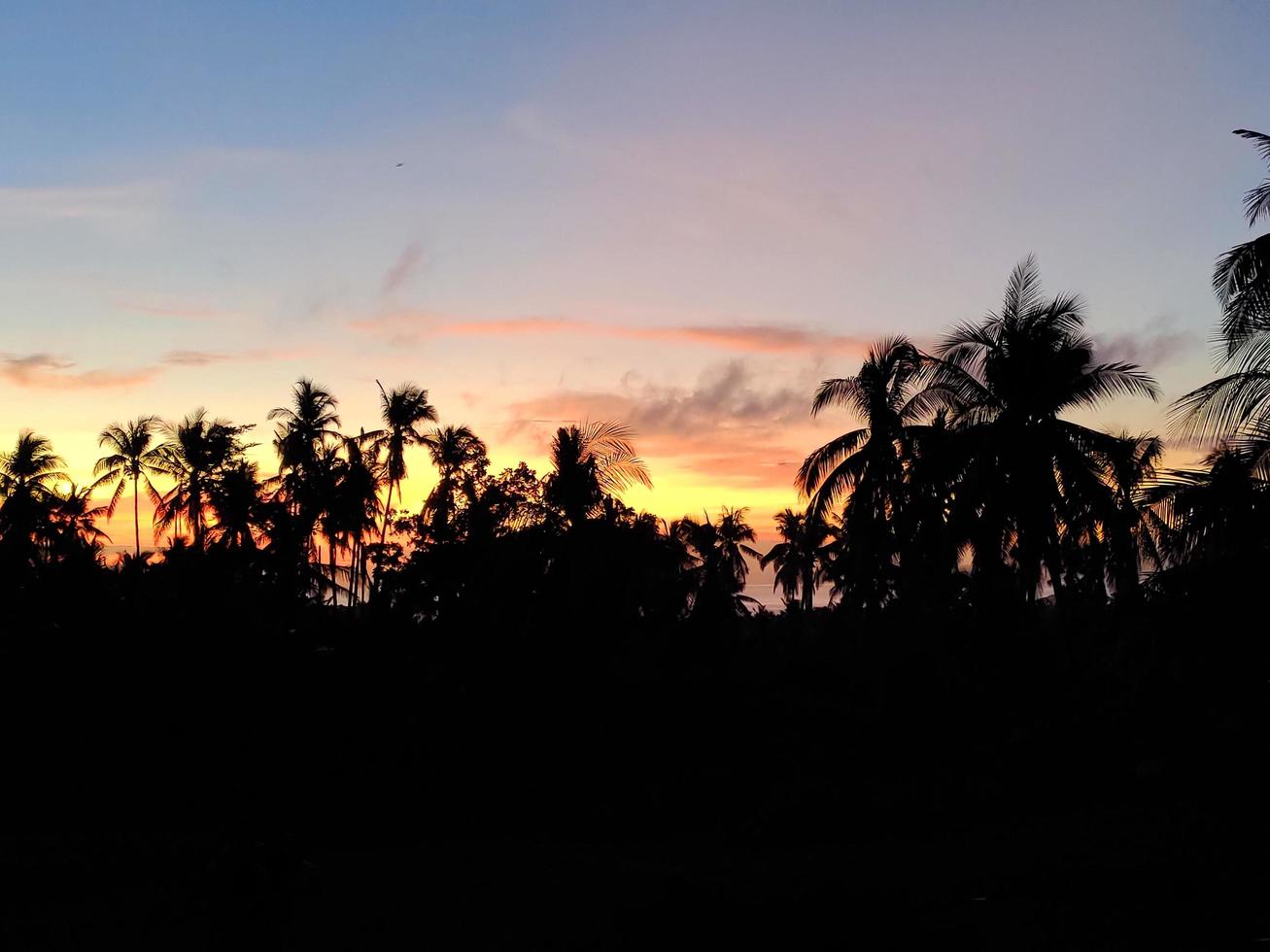 Sky landscape with trees silhouette photo