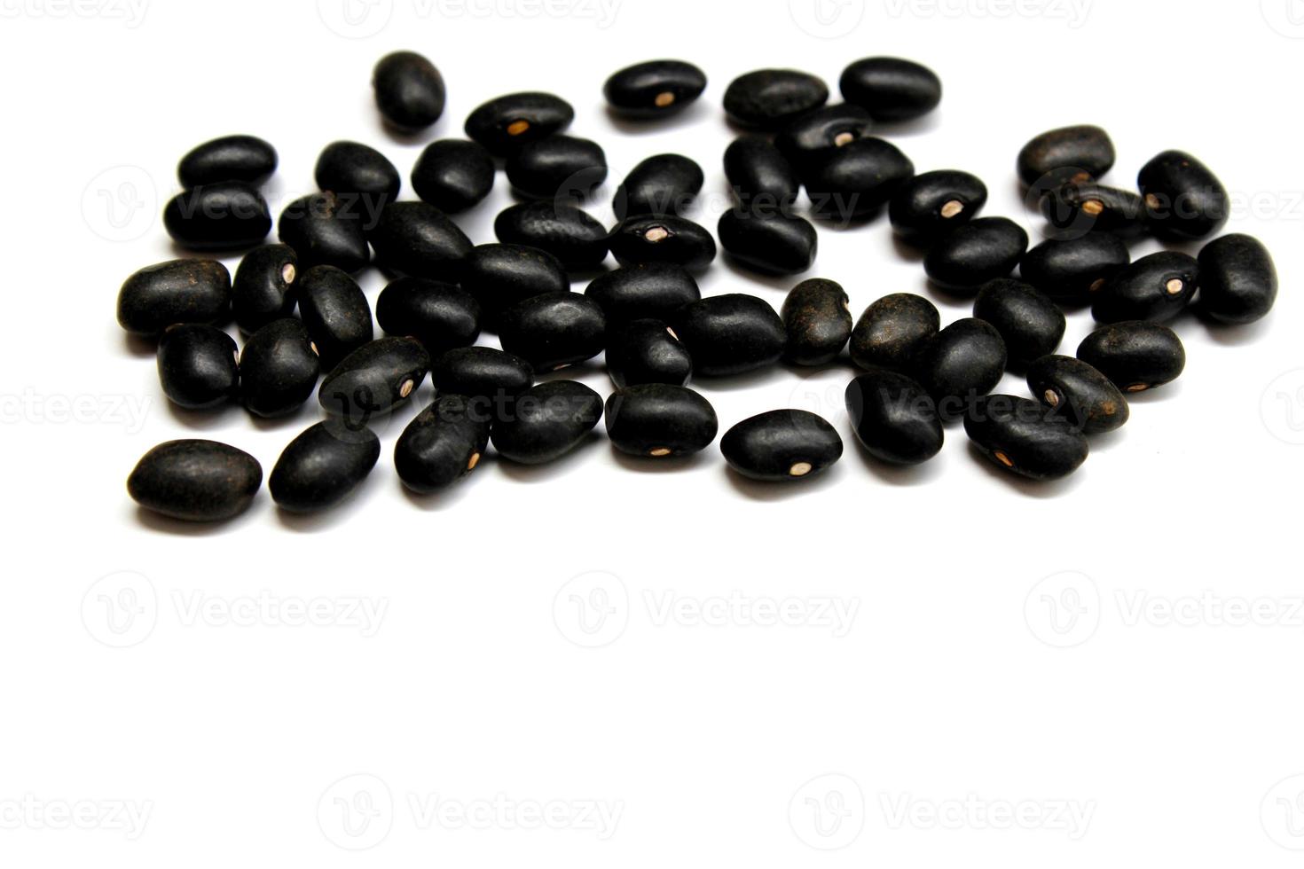 Black bean isolated on the white background photo