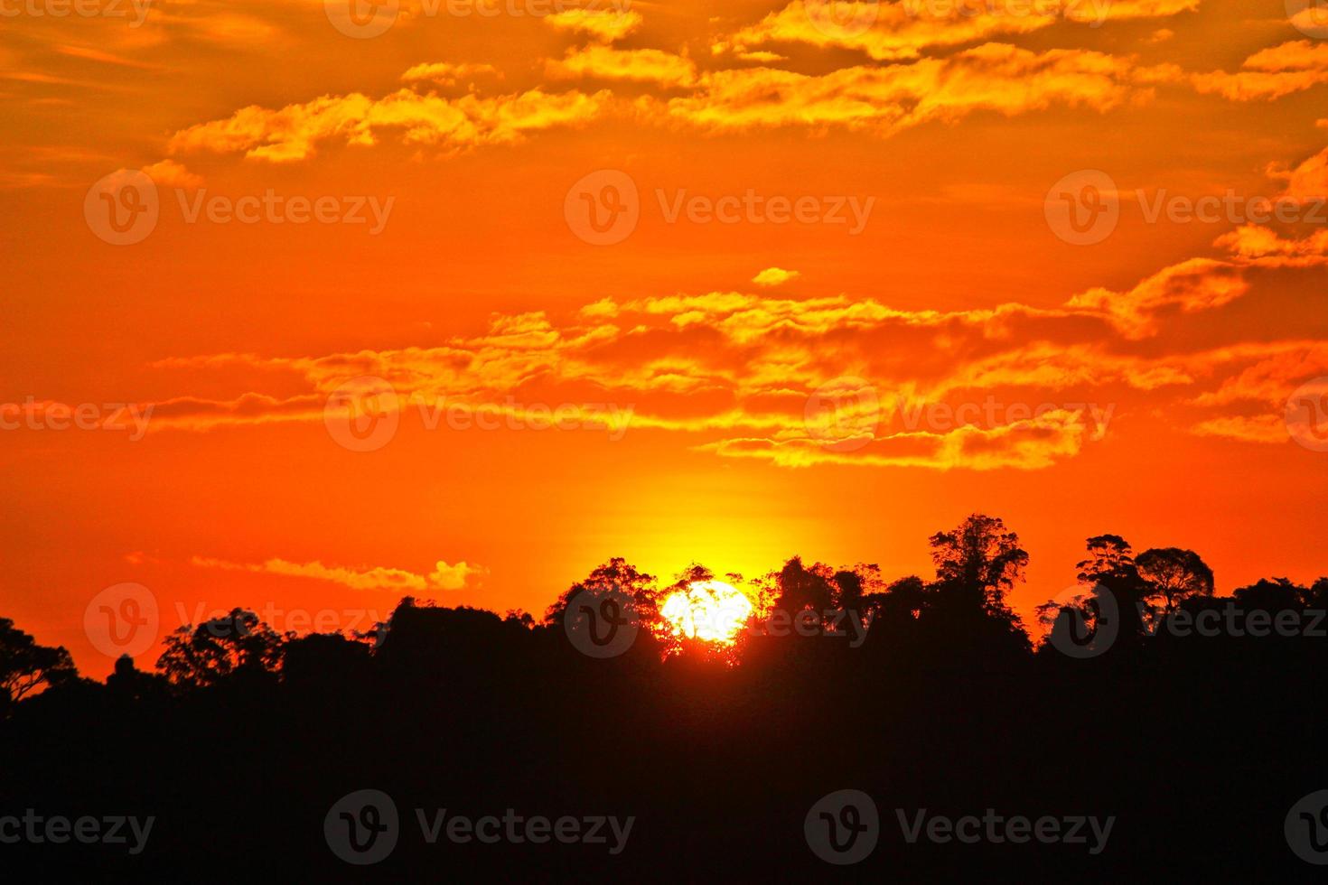 el sol sale con el cielo naranja y la silueta del árbol foto