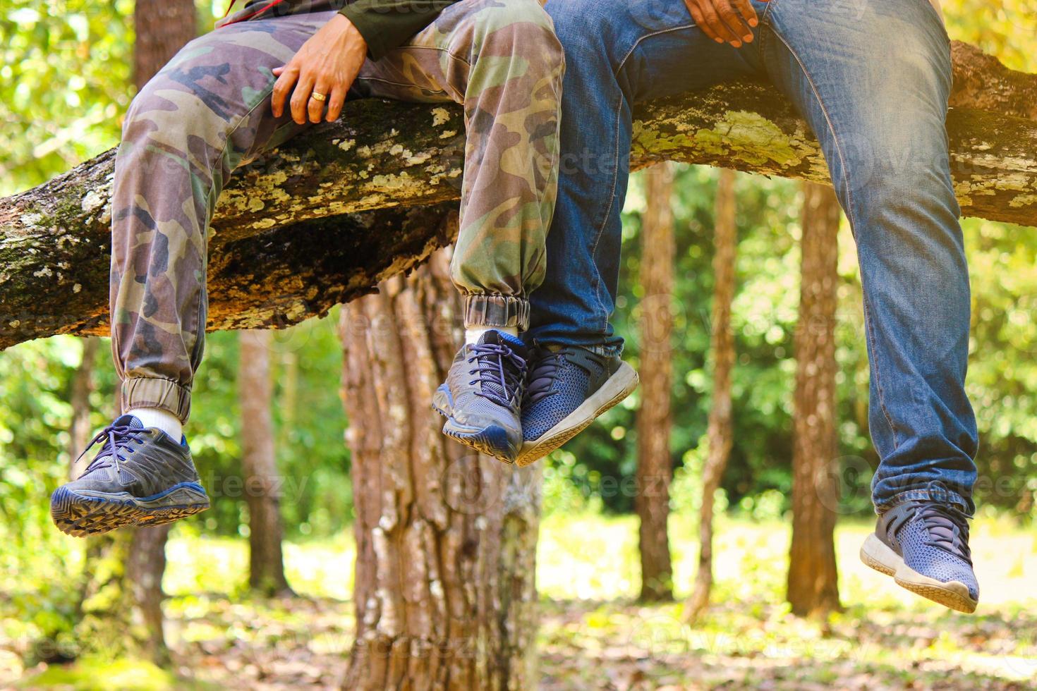 The leg part of  two men sit on the big branch of the tree in the forest photo