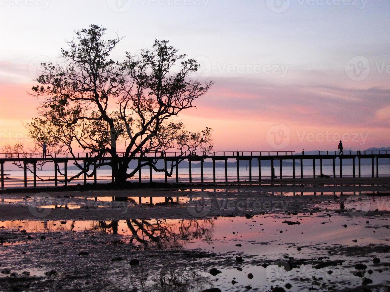 Tree and bridge on the beach before sunset,  Koh Mak, Trad Province, Thailand photo