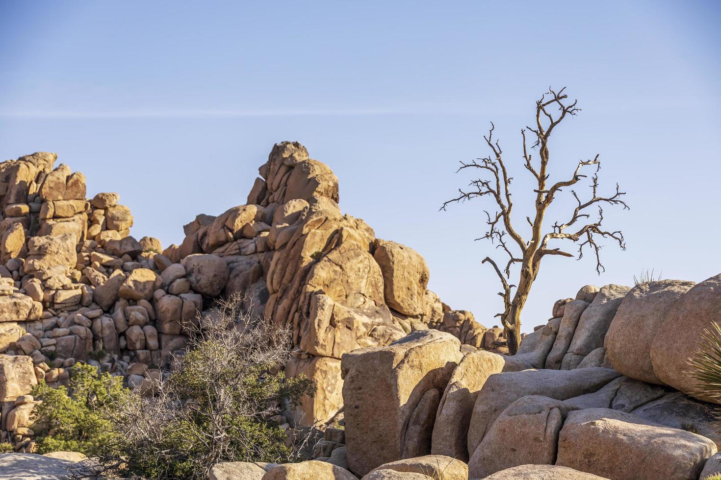 Rocky landscape in the middle of the desert photo