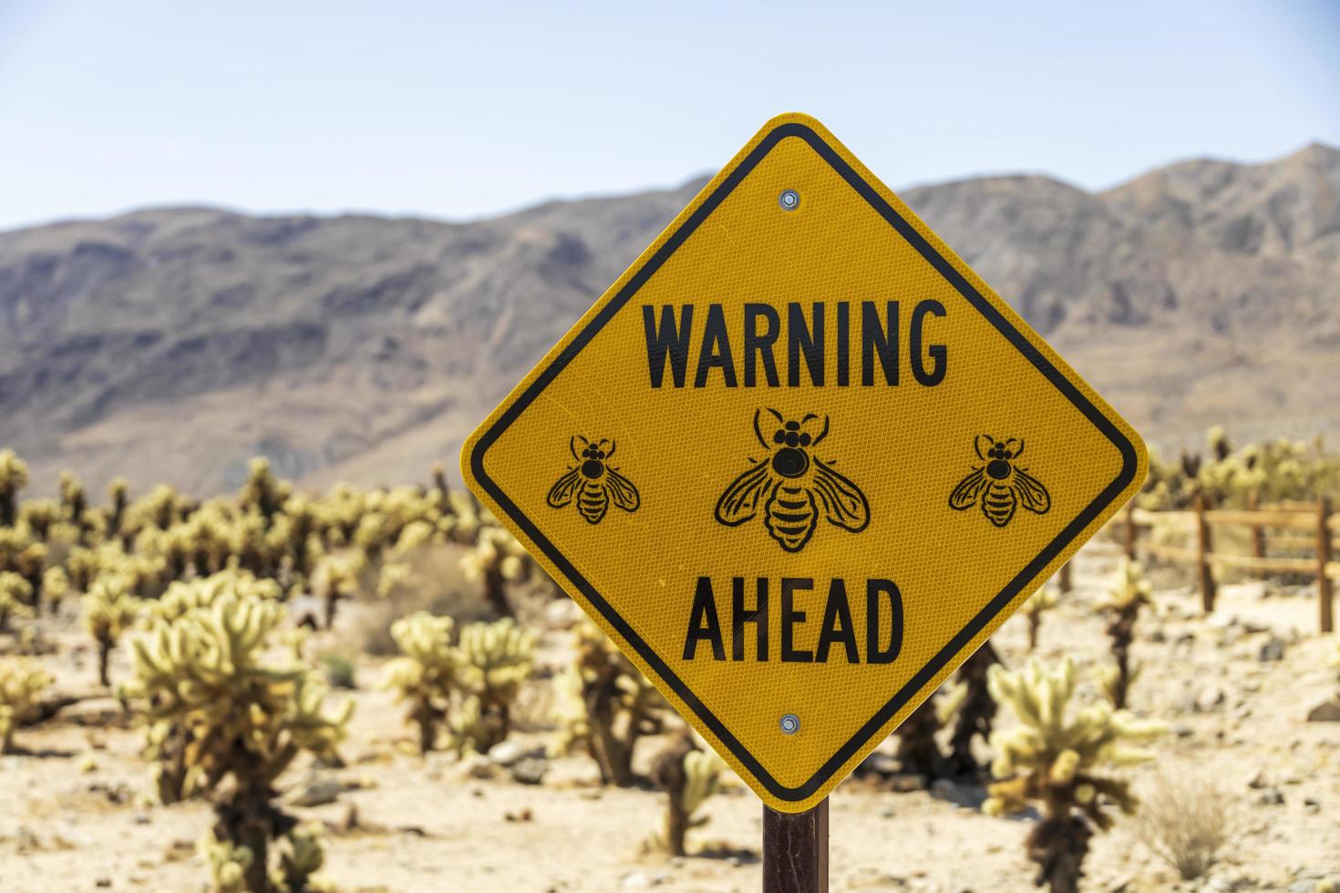 Warning sign of bumble bees in a garden ahead photo