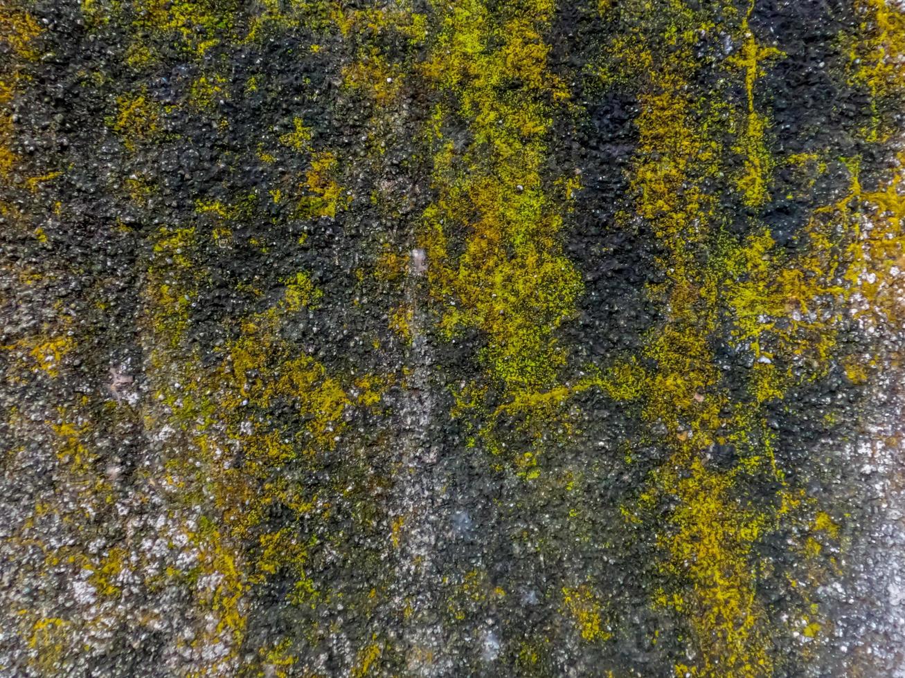 Walls in the garden with cement and natural stone overgrown with moss, as decorations to present a natural atmosphere at home photo