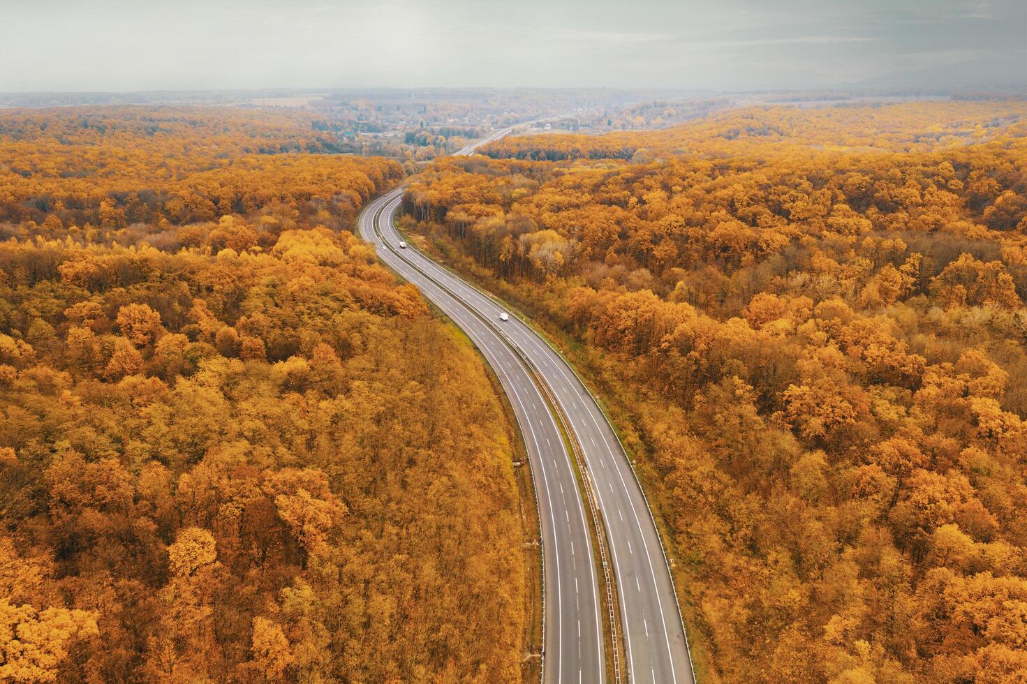 autopista curva frente al horizonte en medio del bosque amarillo de otoño foto