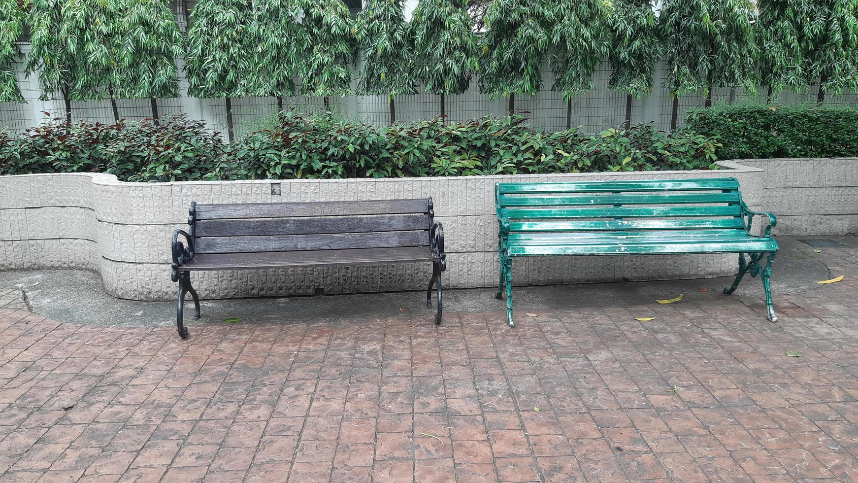 Couple Chair in the park photo