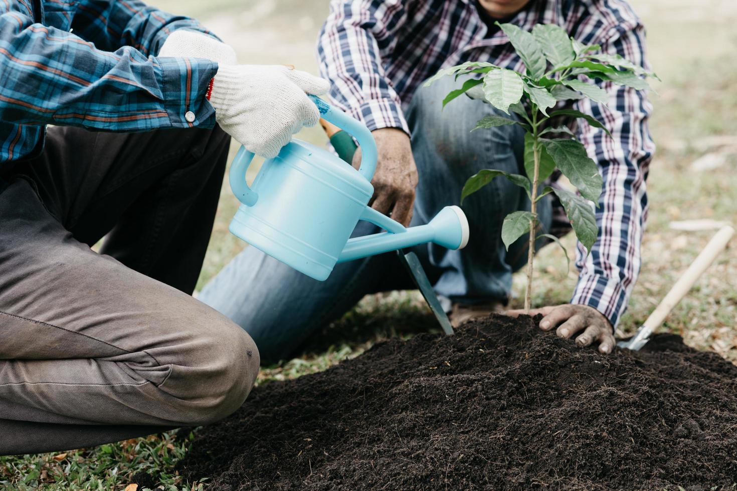 dos personas que llevan árboles jóvenes para plantar en un bosque tropical, una campaña de plantación de árboles para reducir el calentamiento global. el concepto de salvar el mundo y reducir el calentamiento global. foto