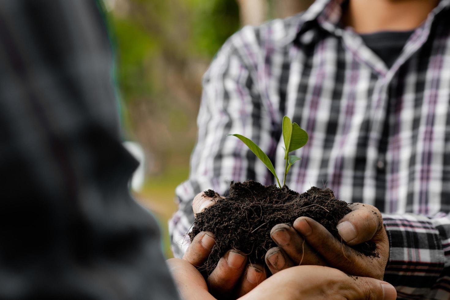 Two people carrying saplings to plant in a tropical forest, a tree planting campaign to reduce global warming. The concept of saving the world and reducing global warming. photo