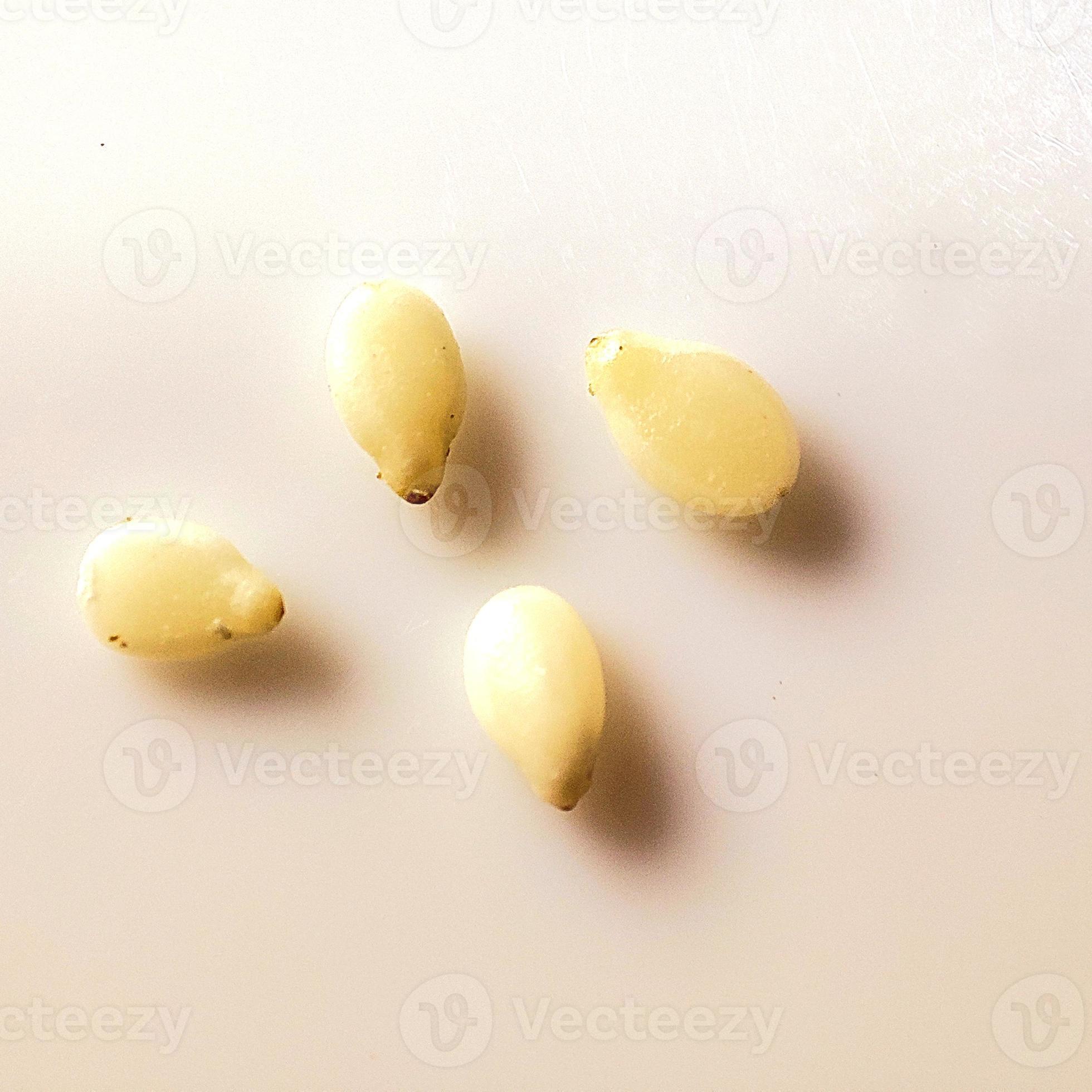 Macro shot of Sesame Seed on white background. 7991820 Stock Photo at Vecteezy