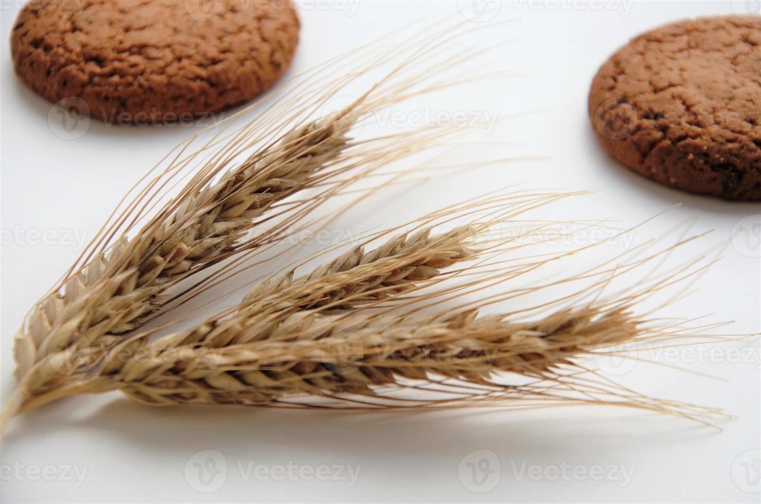round biscuits on a white background with ears of wheat photo